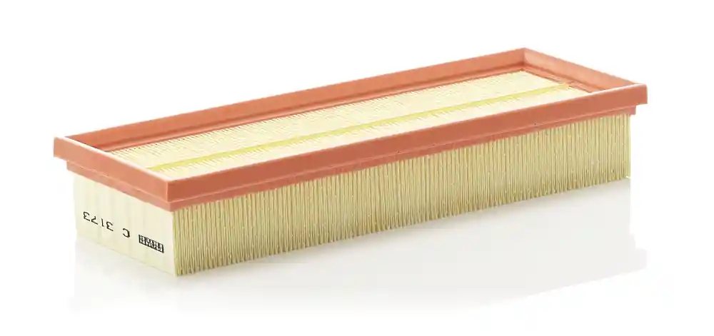Filtru aer Mann-Filter C 3173 Mann-Filter Preț mic