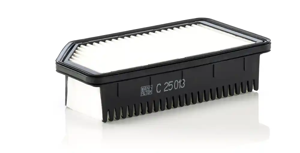 Filtru aer Mann-Filter C 25 013 Mann-Filter Disponibil imediat