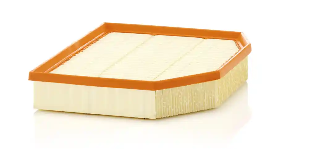 Plată securizată Filtru aer Mann-Filter C 29 132 Mann-Filter