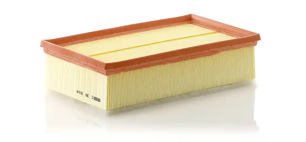 Ultima șansă Filtru aer Mann-Filter C 30 004 Mann-Filter