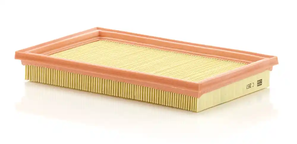 Plată securizată Filtru aer Mann-Filter C 2851 Mann-Filter