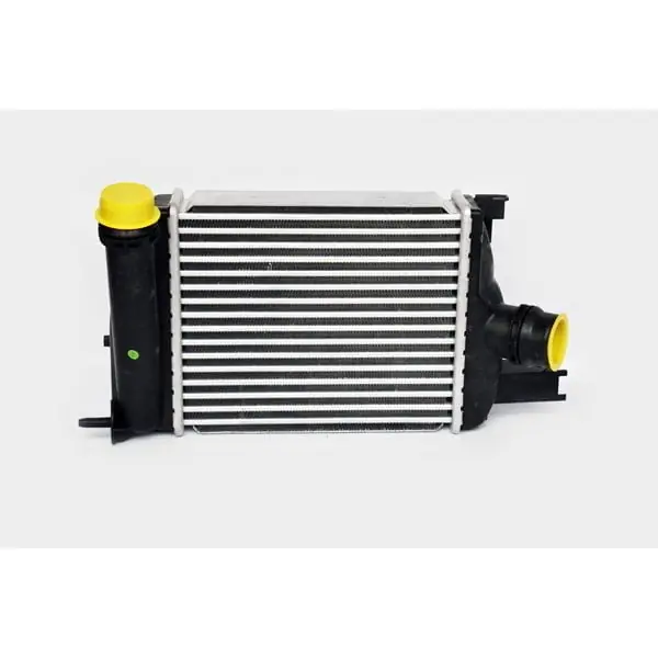 Plată securizată Intercooler Dacia Lodgy 2012 -> 1.5 DCI Magneti Marelli
